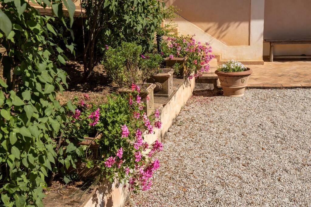 Apartment In Nature,10Min From City Perugia Dış mekan fotoğraf