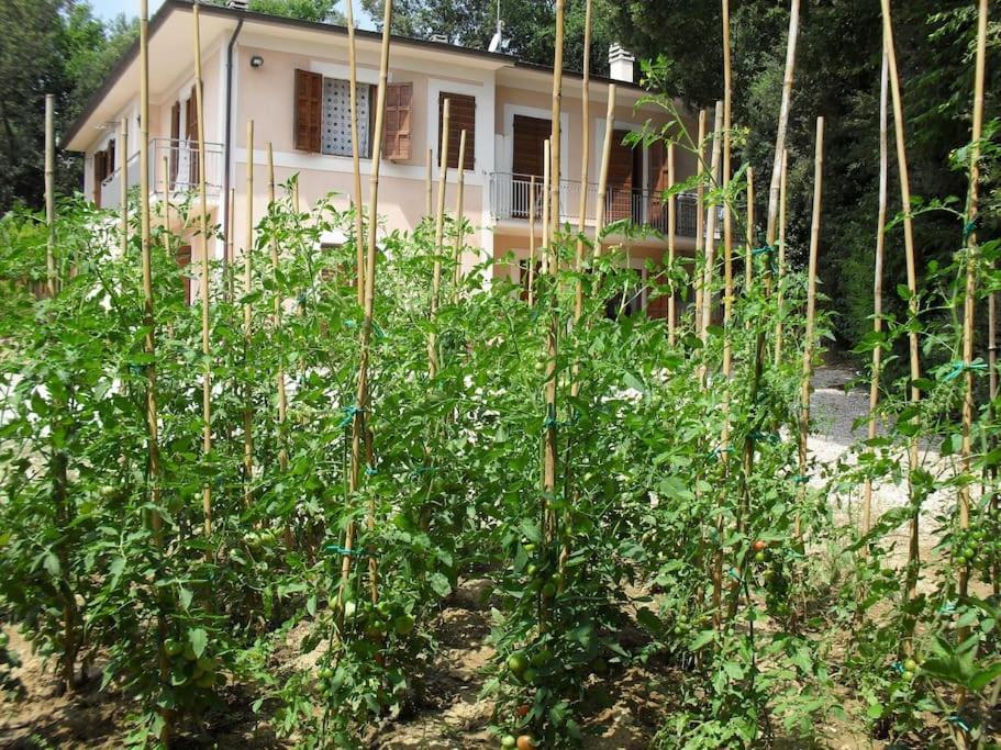 Apartment In Nature,10Min From City Perugia Dış mekan fotoğraf