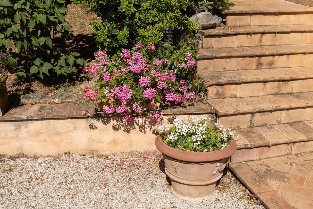 Apartment In Nature,10Min From City Perugia Dış mekan fotoğraf